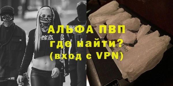 винт Абаза