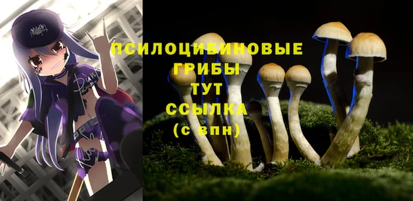 винт Абаза