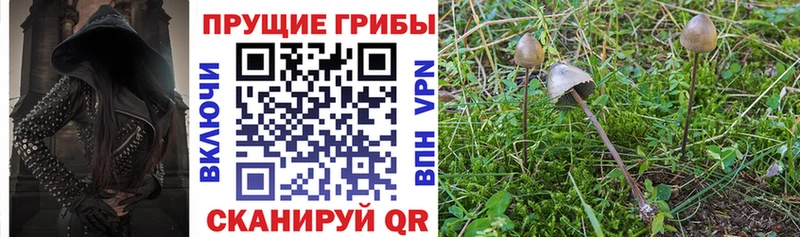 MEGA рабочий сайт  Касли  Псилоцибиновые грибы мухоморы 